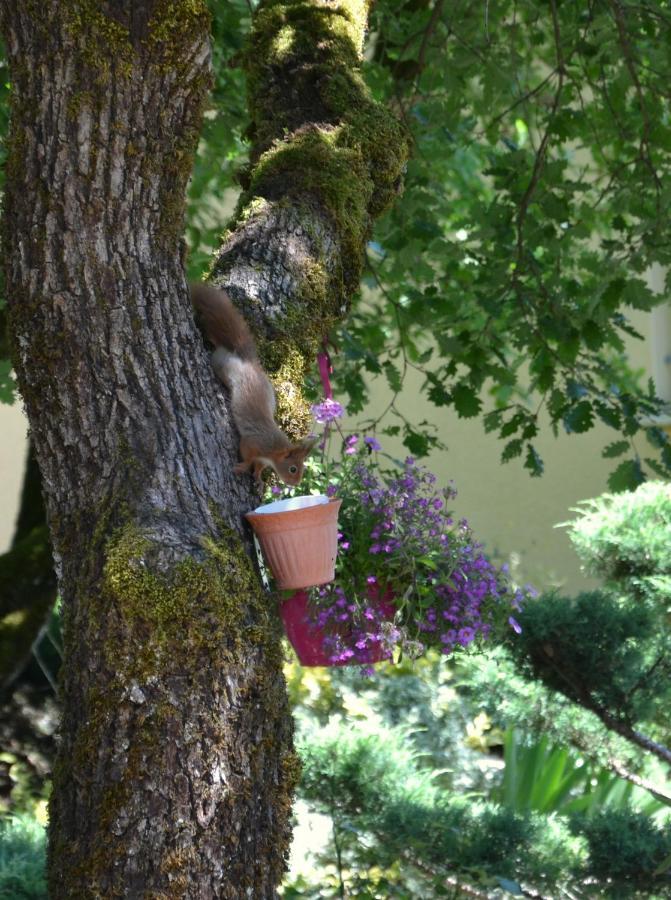 Les Gites De Lescurou Limogne-en-Quercy Exterior photo
